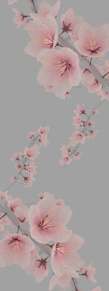 Soft Sakura Modal Silk Scarf – Blush Cherry Blossom Floral Print Designer Scarf