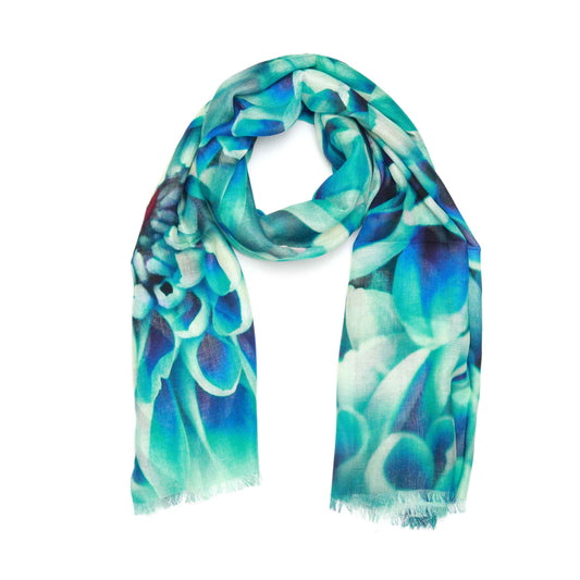 Azure Chrysanthemum Floral Scarf – Cotton Modal Designer Wrap | Blue Botanical Bloom Print