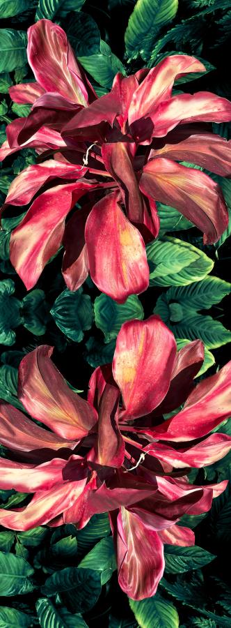 Floral Print Fine Merino Designer Scarf