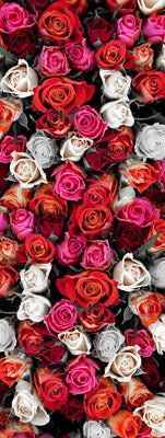 Rose Garden Silk Scarf – Romantic Floral Print