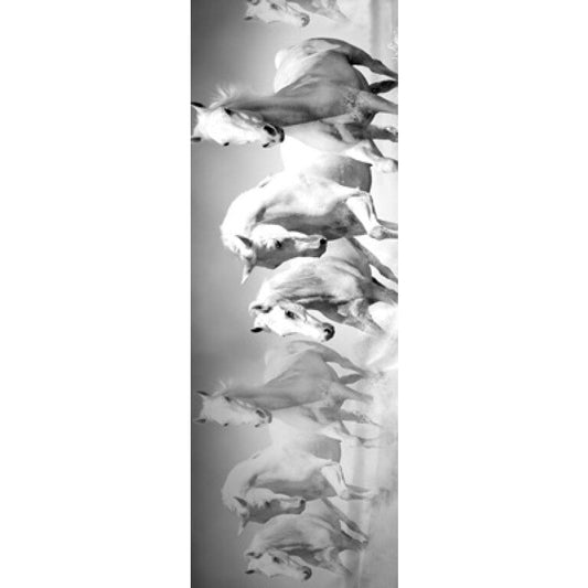 Wild Stallion Monochrome Animal Scarf –  Pure Linen Designer Wrap | Black & White Horse Print