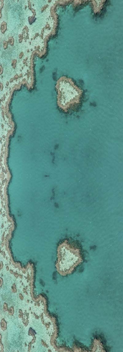 Heart Reef Ocean Scarf – Fine Merino Designer Wrap | Great Barrier Reef Australian Coastal Print