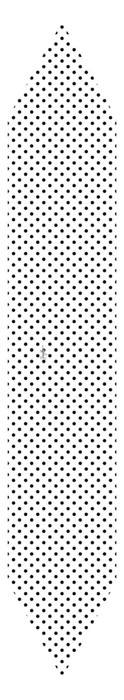 Black & White Polka Dot Skinny Scarf